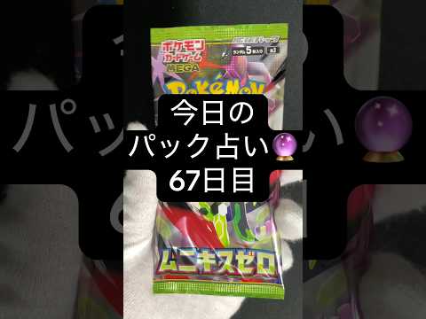 タルbの毎日開封占い67日目 #ポケモン #ポケモンカード開封 #ポケカ開封 #コレクション