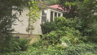 Animals hoarded in squalid conditions in NY home