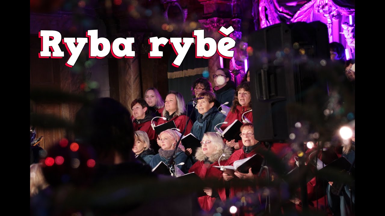04 Ryba rybě - Žihelský sbor (cover by Janek Ledecký)