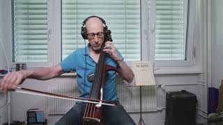 I am a cello quartet