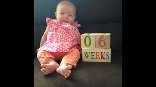 Annie Dillon - Weeks 1 - 6