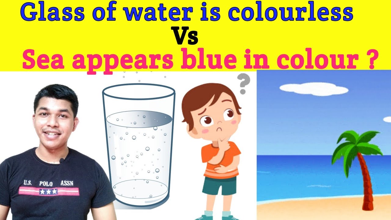 Why sea appears blue in colour ? SCIENCE COLLECTOR
