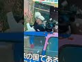 眠そうデコピンドジャース優勝パレード🏅ロスにて大盛り上がり🍅🏆