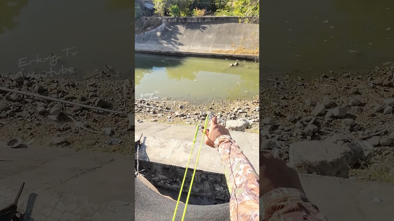 When the tail arise ang shot from above🎯🐟#fishing #fish