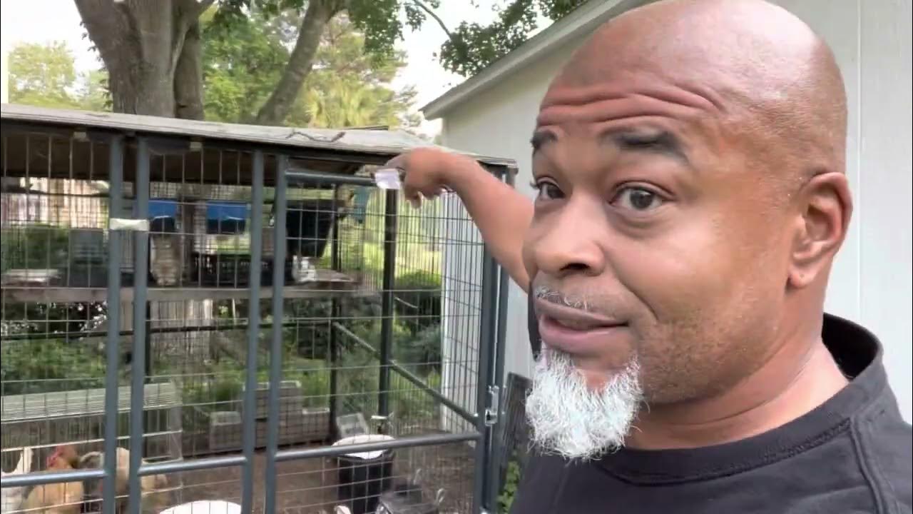 THE BEST CHICKEN COOP EVER! worth every cent! YouTube