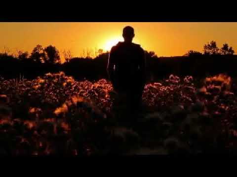 مقدمة زاد الغريب