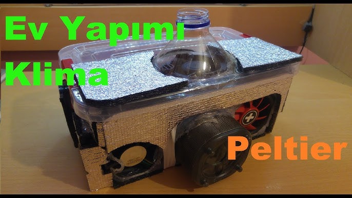 Mushuk va eshakni yalash video Bikinili qizlarning porno fotosuratlari