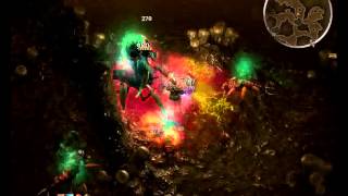 Grim Dawn Build 24 Royal Hive gameplay SPOILER