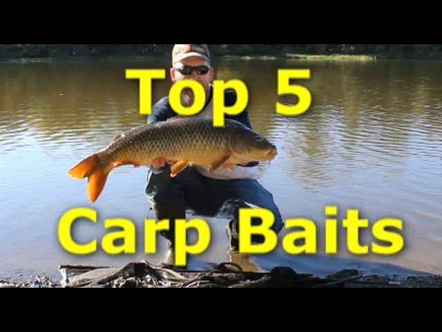 Best carp baits no longer used or rarely seen fishing