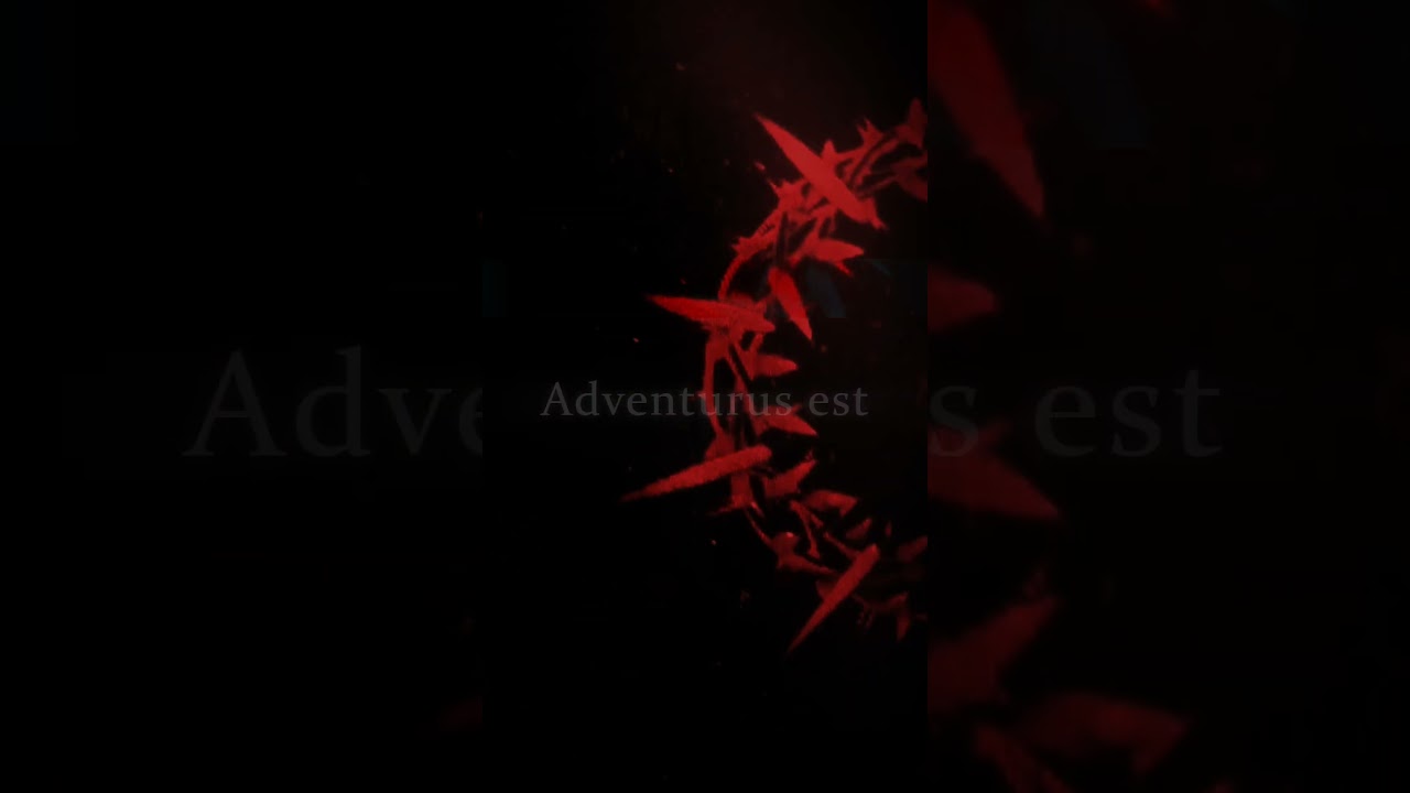 XEHNNA Teaser 1 Visne mixturam Metal cum Bass House et TearOut?