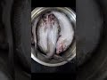 Big size Pabda fish-বর বাজার থেকে নিয়ে আসল#shorts #viralvlogs #dailyvlog #viralreels #food