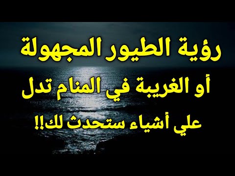 تفسير رؤية الطائر الغريب أو المجهول في المنام الطيور المجهولة في الحلم تدل علي أشياء ستحدث لك