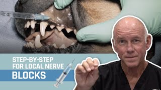 Veterinary Dentistry -  Nerve Blocks for Oral Surgery for Dogs and Cats screenshot 2