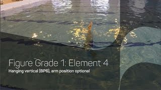 Hanging Vertical | Synchronised Swimming Figures