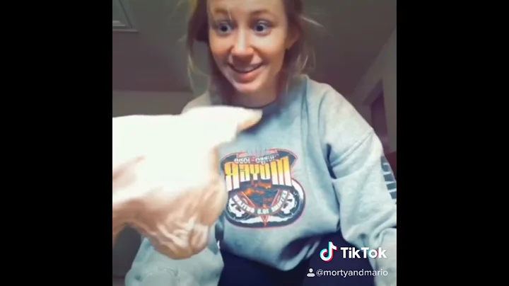 Video 1477431: hairless cat, hairless dog