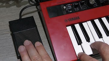 AP113P Rotary switch pedal for Yamaha Reface YC Organ