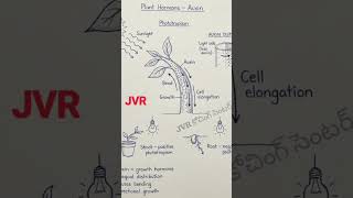 #study #trending #education #kohli #news #intermediate #fun #biology #zoology #motivation #students