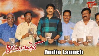 Aaradugula Bullet Movie Audio Launch Gopichand , Nayantara