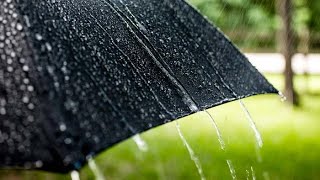 Waves of showers and storms stay in the forecast this week