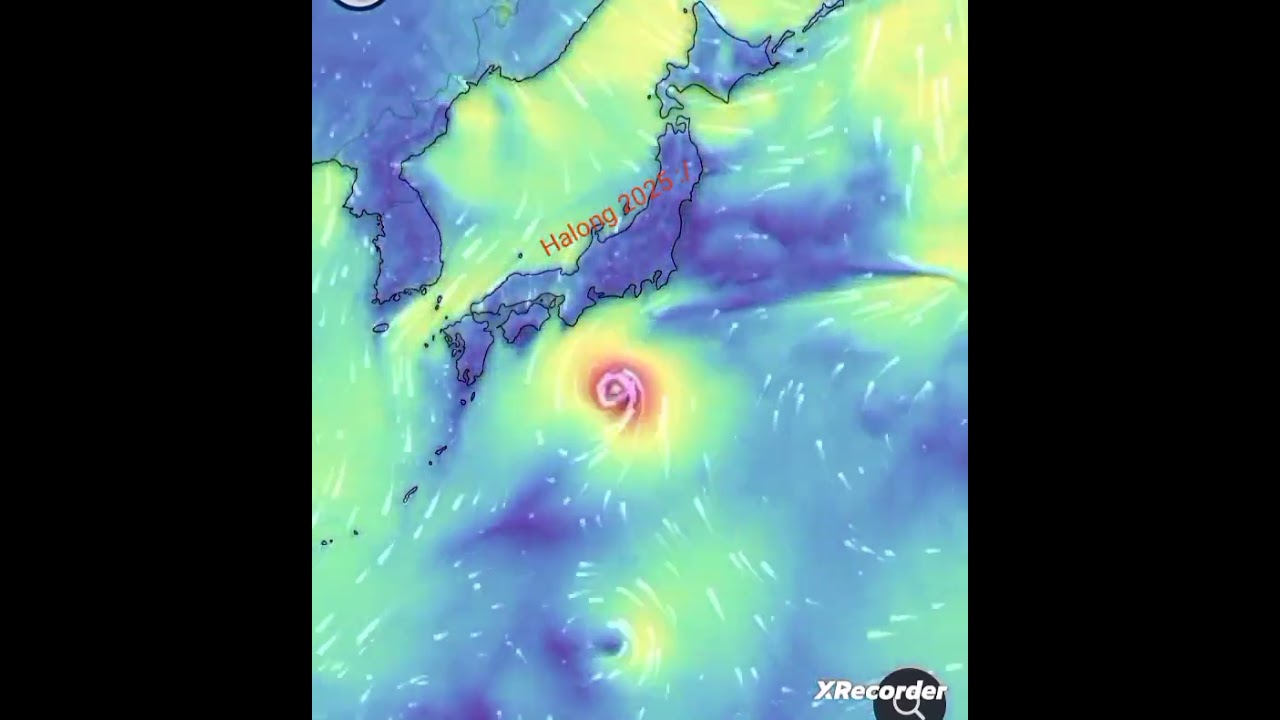 Typhoon Halong-Nakri 