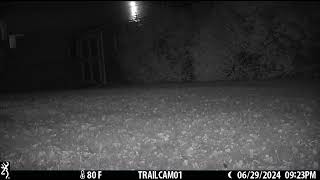 IMG 0003 2