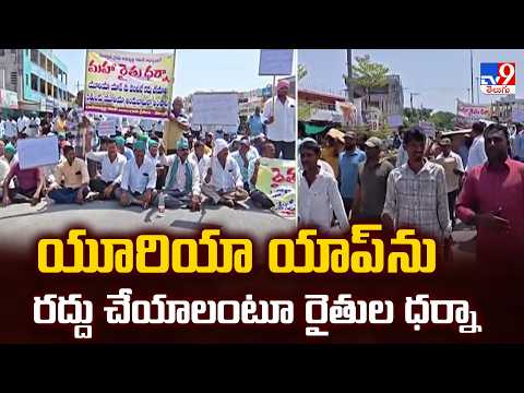 Nizamabad Farmers Protest Over Urea App : యూరియా యాప్ ను రద్దు చేయాలంటూ రైతుల ధర్నా - TV9 - TV9