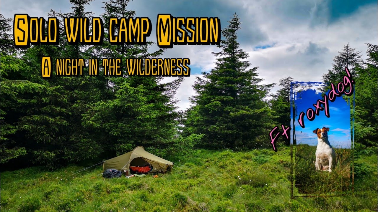 a night in the wilderness (wild camp adventure!) - YouTube