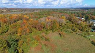 fall colors not to good this year