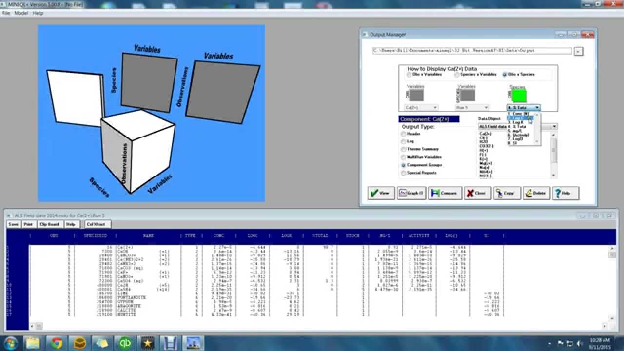 Output Manager in MINEQL+ 5.0 - YouTube