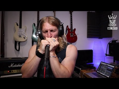 ENTIRE FREEBIRD SOLO PLAYED ON HARMONICA!!! (Lynyrd Skynyrd)