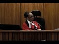 Pistorius explains need himself