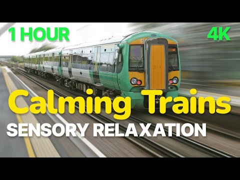 Autism Calming Trains Sensory Meltdown Relaxation 🌈