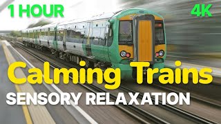 Autism Calming Trains Sensory Meltdown Relaxation 🌈