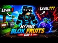 My First Day In Blox Fruits Was INSANE... 😳🔥 #1