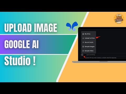 Play Bun Keeps It Simple: Upload, Generate, Download Your Site in Australia