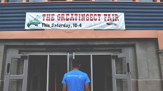 The Great Insect Fair Office Hours With The Hughes Lab