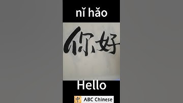 learn to write chinese character 你好 #hsk #chineselanguage #chinese  #china #mandarin #learnchinese