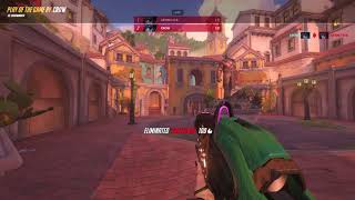 DAN'S HIGHLIGHT WIDOW CASTILLO