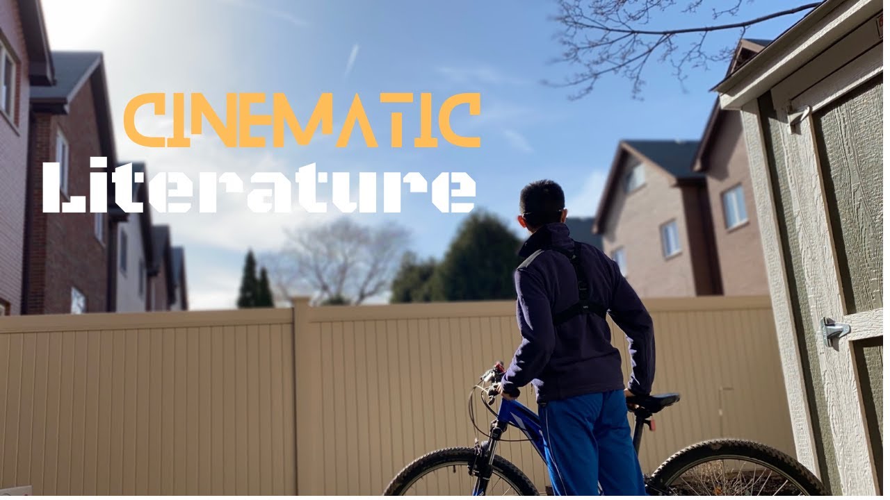 A Cinematic Literature Assignment