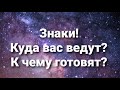 Знаки Ангелов ! Куда вас ведут? К чему вас готовят?