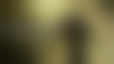 The Witcher 2: Chapter 1, Part 8 (Prison Barge / Rose of Remembrance)