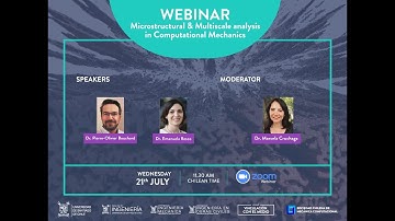2nd. Webinar Microstructural & Multiscale analysis in Computational Mechanics