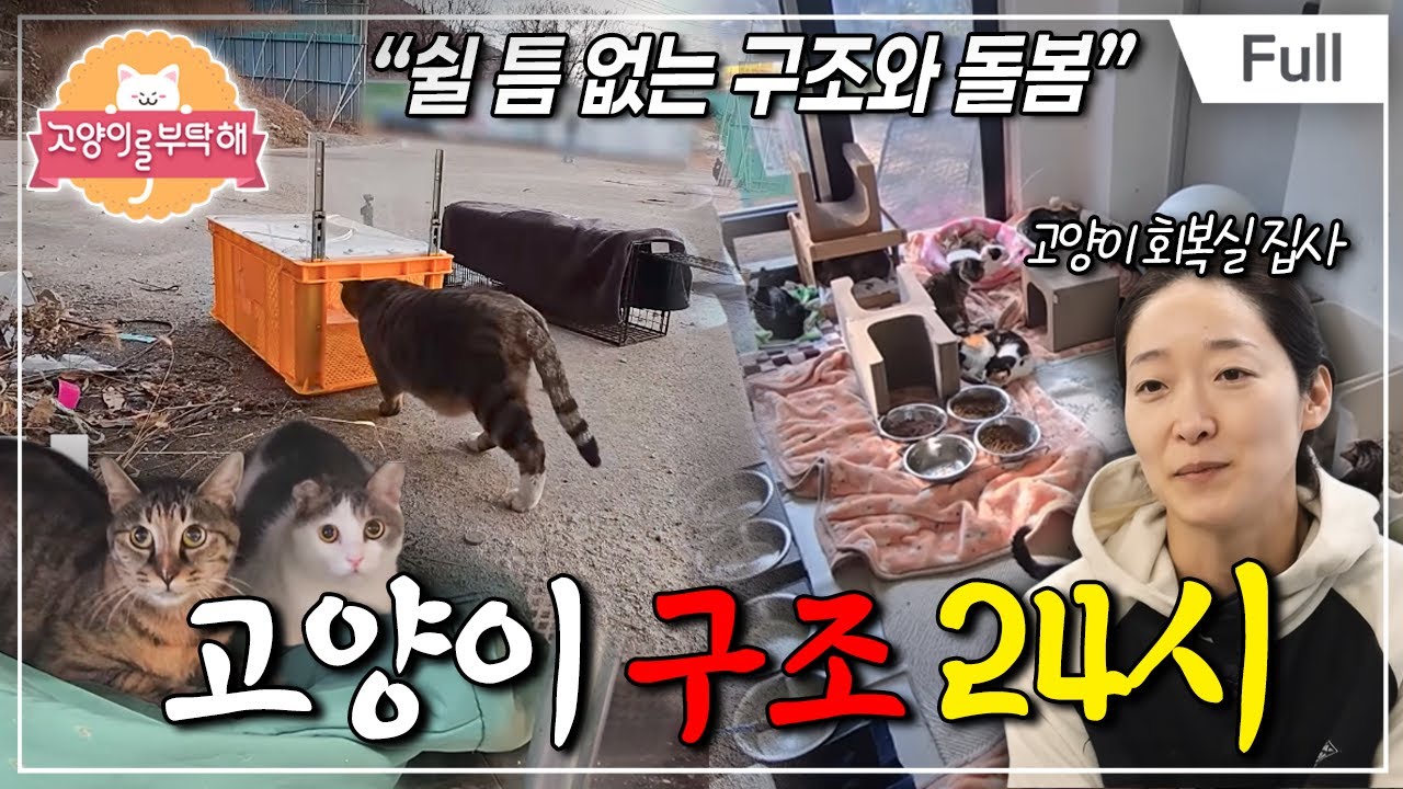 [Full] 고양이를 부탁해 - 고양이 구조 24시