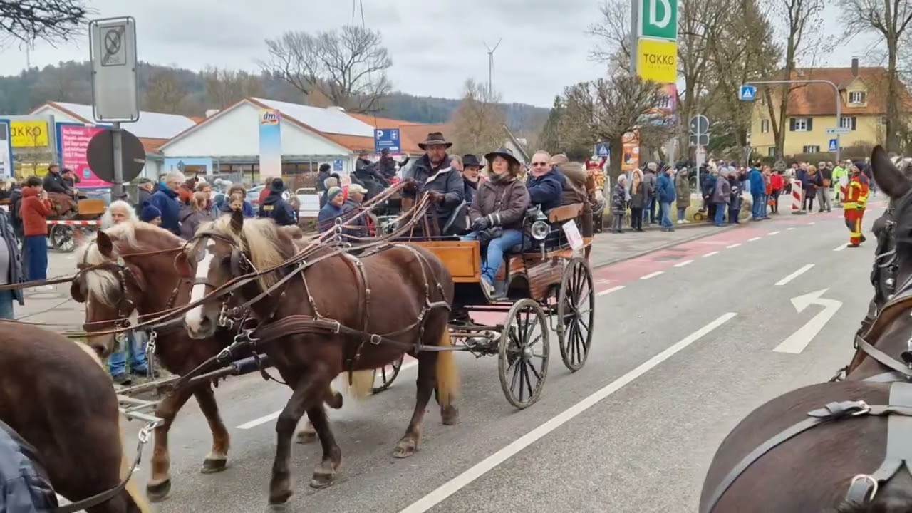 Gaildorfer Pferdemarkt Umzug 9.2.2026 mitfahrt mit Lola und Dori auf dem Planwagen