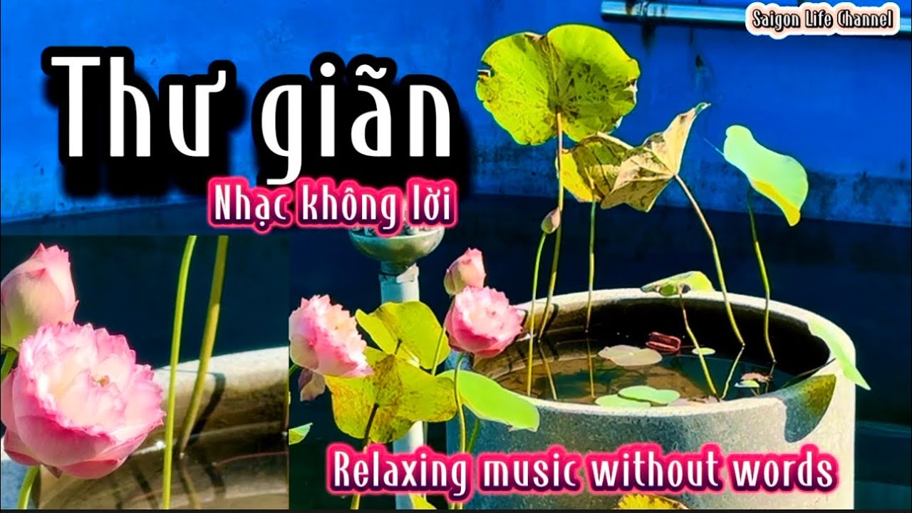 NHẠC KHÔNG LỜI SÂU LẮNG DỄ NGỦ | Relaxing Music Whithout Words 