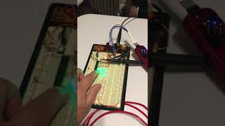 Exp 2 Activity B2 3A