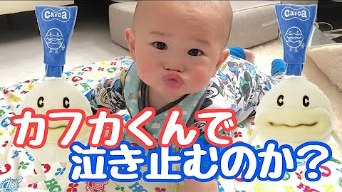 かふかくん Mp3
