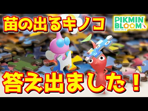 ミステリーボックス（カラフル）　【YouTuberやコレクターの方必見】 ミステリーボックス（カラフル） 【YouTuberやコレクターの方必見