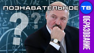 Белорусский Батька против червей и математики. Почему? (Артём Войтенков)