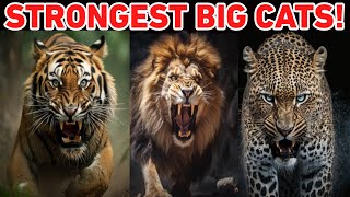 TOP 5 STRONGEST BIG CATS! by ANIMAL LYFE 929 views 7 months ago 3 minutes, 16 seconds